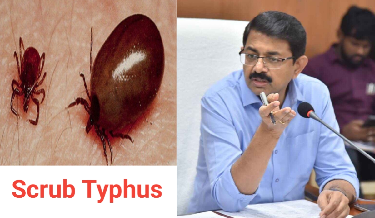 District collector vizianagaram