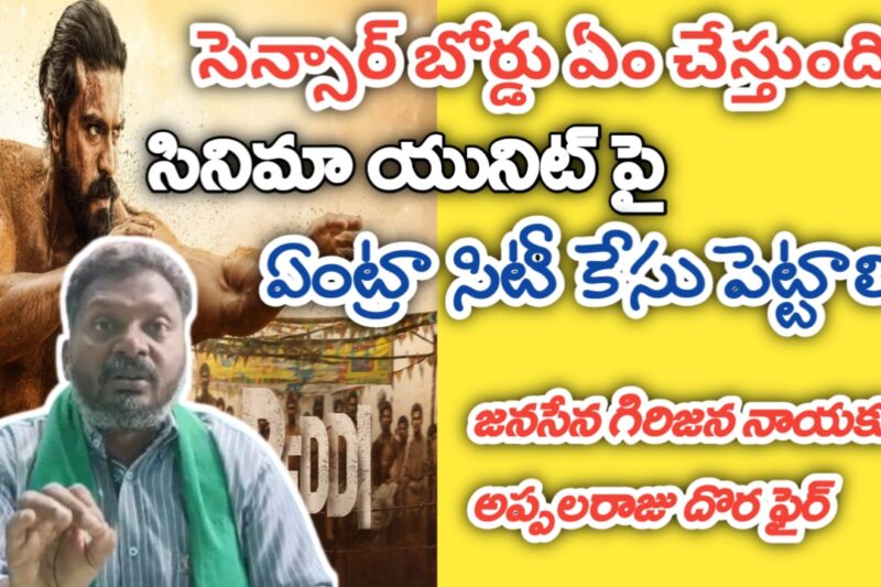 Peddi movie