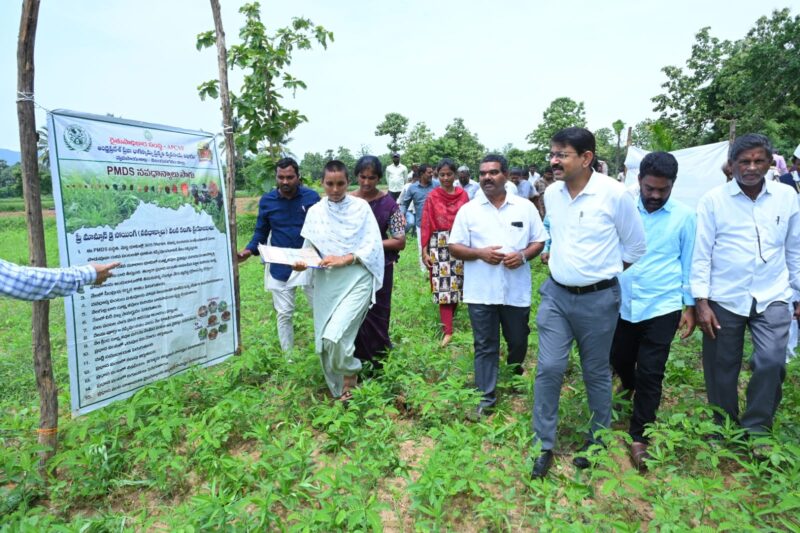 నవధాన్యాల సాగుతో భూమి సారం పెరుగుతుంది – రైతులకు జిల్లా కలెక్టర్ రాంసుందర్ రెడ్డి సూచనలు