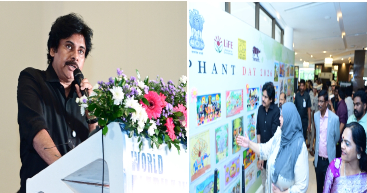 Deputy CM Pavan kalyan